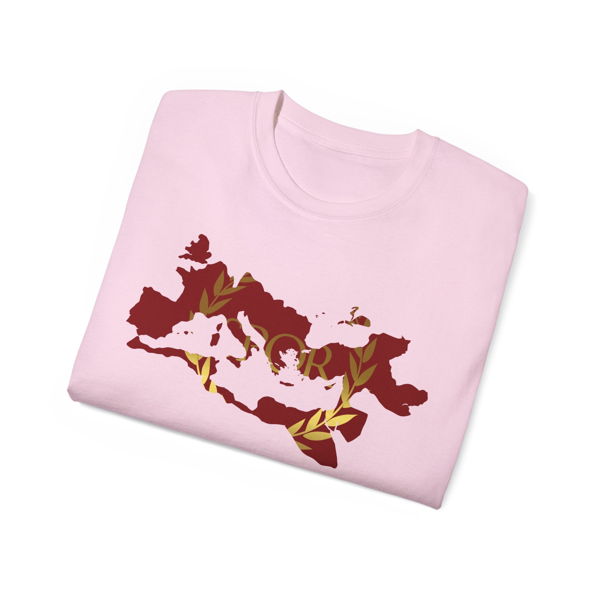 Rome Empire Epic Map Unisex Tee Shirt, SPQR Logo Ancient Rome Tshirt