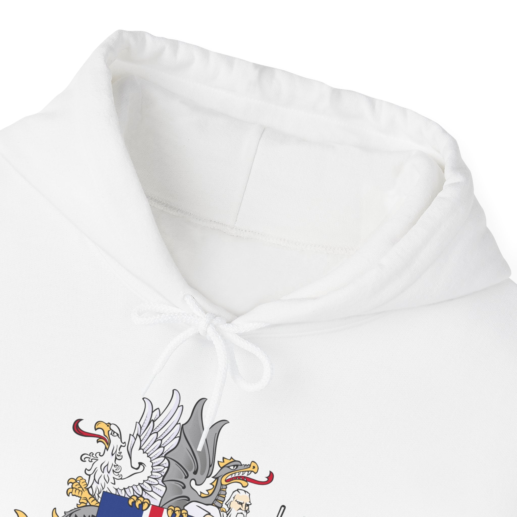 Iceland Viking Hoodie with Historic Coat of Arms