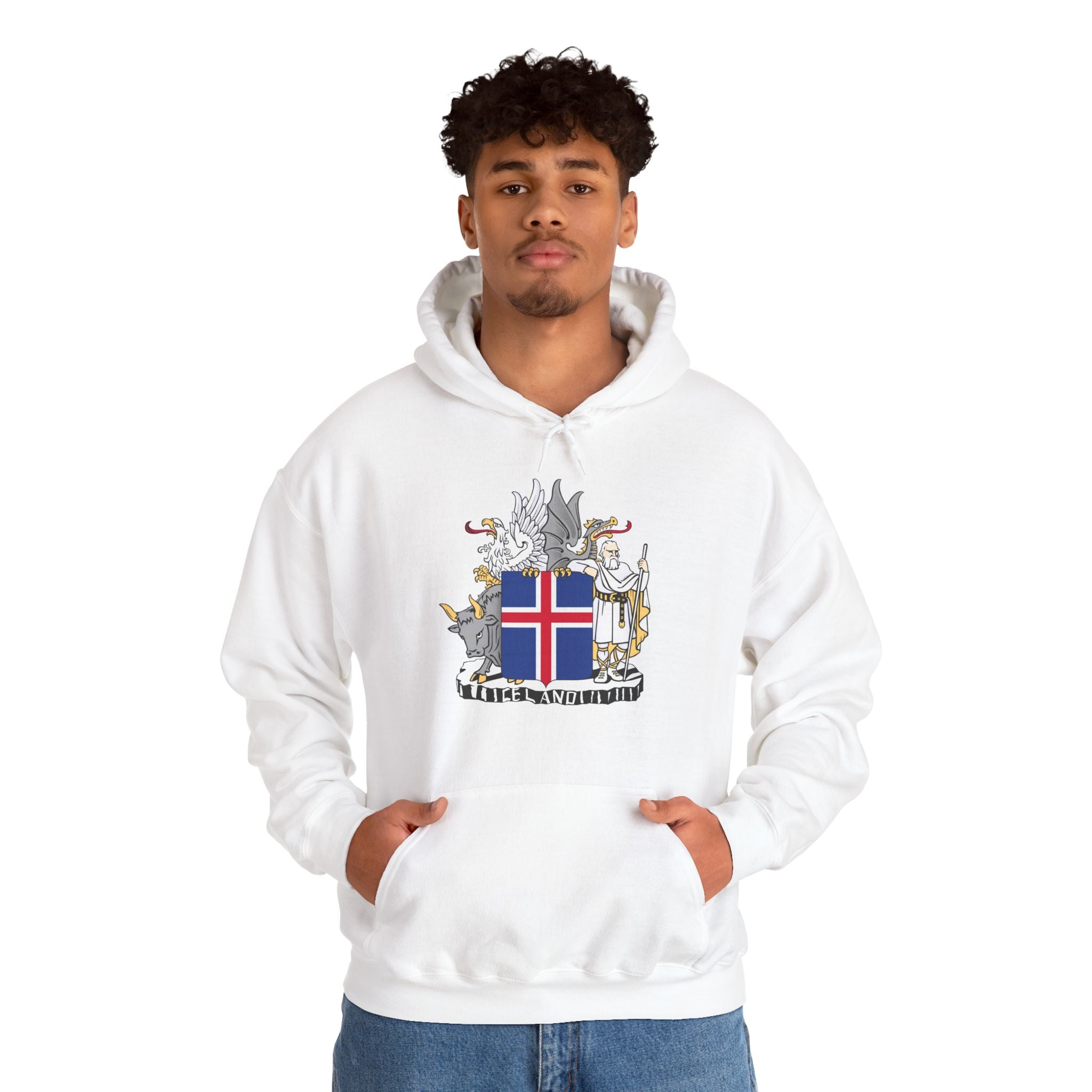 Iceland Viking Hoodie with Historic Coat of Arms