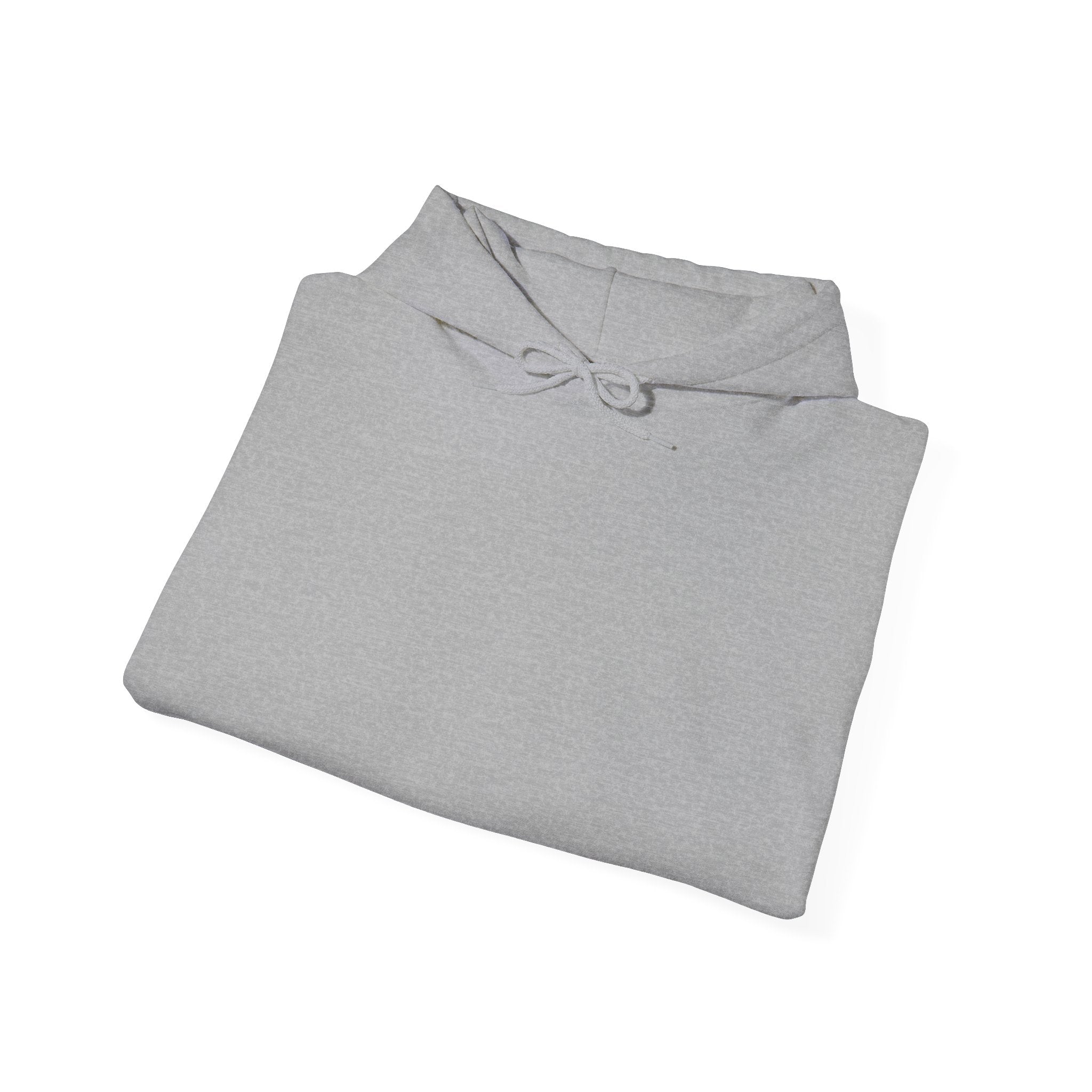 The Rug Dealer Graphic Hoodie
